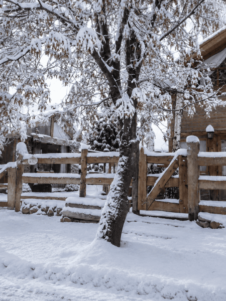 Porton_Invierno_LaJuanita
