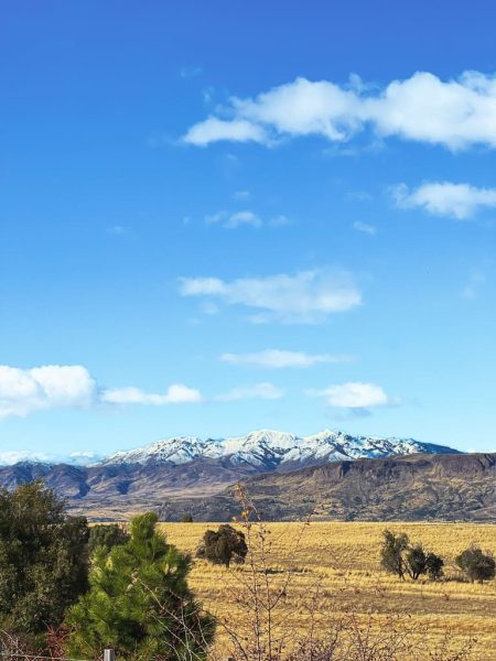 FD289144-BF99-486B-85E6-03E2A7C6E881